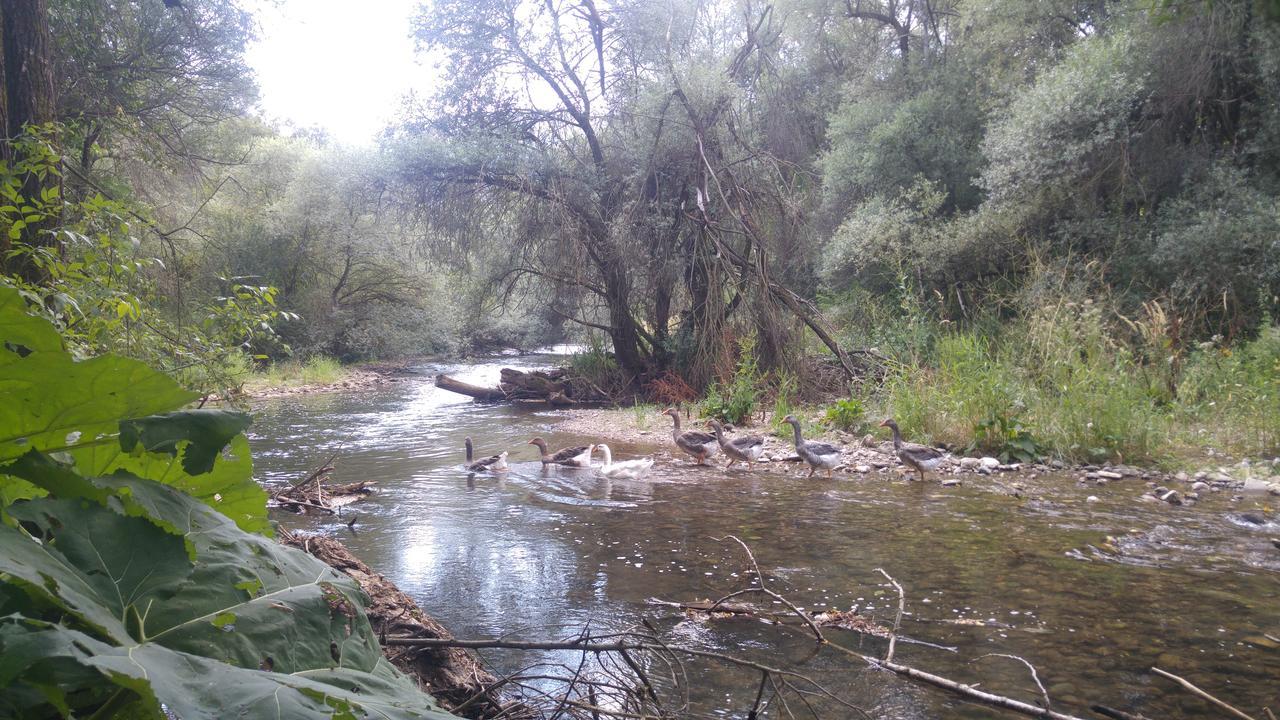 Juzni Vetar Ξενοδοχείο Trnski Odorovci Εξωτερικό φωτογραφία